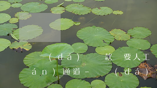 萬達(dá)貸還款還要人工開循環(huán)通道-萬達(dá)貸 循環(huán)