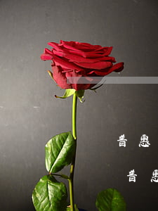 萬達普惠保單貸提前還款手續(xù)費-萬達普惠保單貸提前還款手續(xù)費怎么算