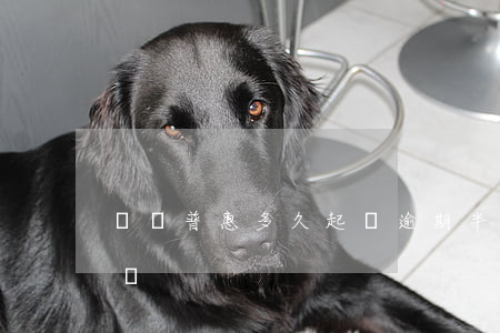 萬達普惠多久起訴（逾期半個月萬達普惠早起訴）