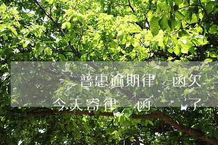 萬達普惠逾期律師函(欠萬達普惠7000多 今天寄律師函過來了)