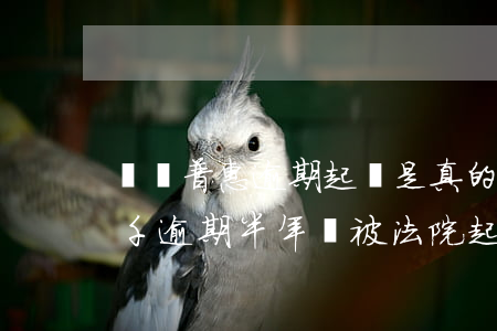 萬達普惠逾期起訴是真的嗎(欠萬達普惠貸五千逾期半年會被法院起訴嗎)