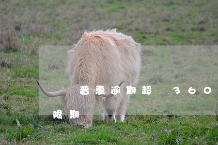 萬達普惠逾期超過360天(萬達普惠三天寬限期)