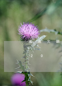 萬達欠銀行貸款(萬達貸不還有什么后果2020)