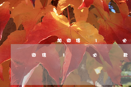 萬達貸加微信說1點錢必須還款-萬達貸加微信說1點錢必須還款是真的嗎
