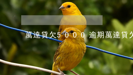 萬達貸欠5000逾期(萬達貸欠了1年)