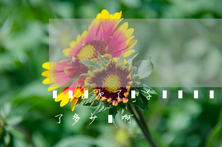 萬達貸欠了幾千塊(萬達現(xiàn)在欠了多少錢啊)