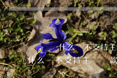 萬達貸為什么暫不支持主動還款-萬達貸為什么暫不支持主動還款呢