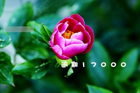 萬達貸逾期17000萬坐牢嗎-