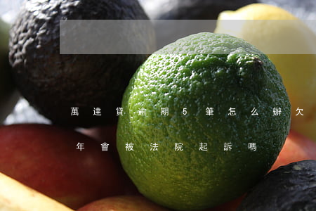 萬達貸逾期5筆怎么辦(欠萬達貸五千逾期半年會被法院起訴嗎)