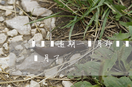 萬達貸逾期一個月秒(萬達貸借款期限沒有1個月了)