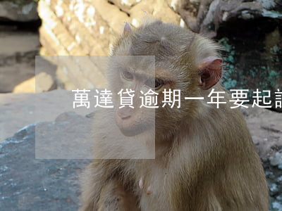 萬達貸逾期一年要起訴我(欠萬達貸1年半了)