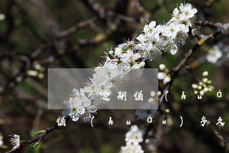 萬達貸逾期循環(huán)怎么辦(萬達貸循環(huán)多久關閉)