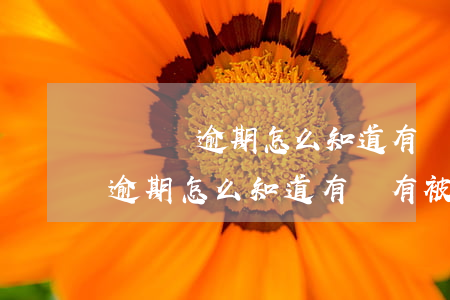 萬達貸逾期怎么知道有沒有被轉賣-萬達貸逾期怎么知道有沒有被轉賣了
