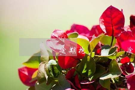 萬達貸逾期抱團(萬達貸逾期抱團)