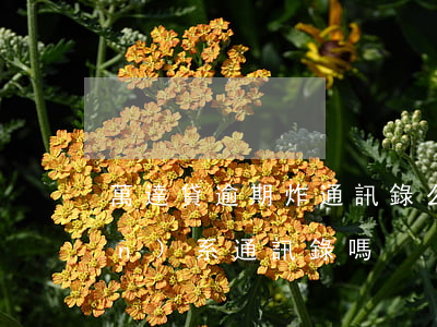 萬達貸逾期炸通訊錄么(萬達貸會聯(lián)系通訊錄嗎)