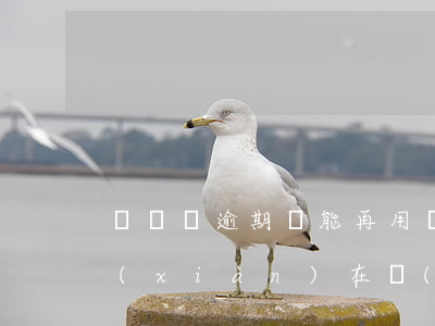 萬達貸逾期還能再用嗎(萬達貸逾期兩年了,現(xiàn)在應(yīng)該怎么還款)