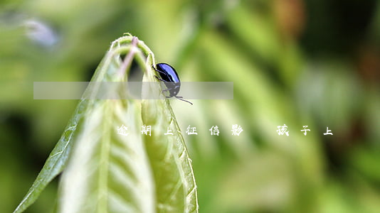 萬達逾期上征信影響孩子上學嗎-