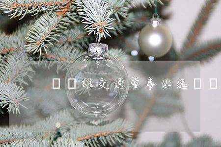 萬飛雄交通肇事逃逸(萬飛雄交通肇事逃逸)