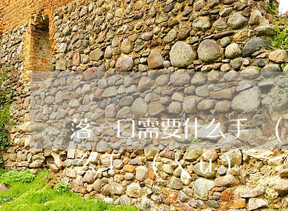 落戶口需要什么手續(xù)(落戶口需要什么手續(xù))