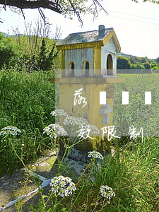落戶簽戶口需要哪些材料（申報戶口的各項時效限制）