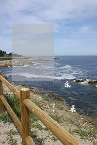 葉永莊欠信用卡(葉永青事件最新進(jìn)展)