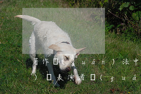 著作權(quán)法中表演權(quán)與表演者權(quán)的區(qū)別