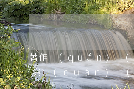 著作權(quán)當(dāng)中的表演權(quán)規(guī)定