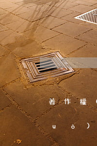 著作權(quán)網(wǎng)絡(luò)侵權(quán)現(xiàn)狀