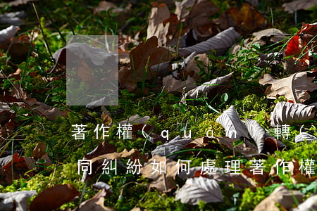 著作權(quán)轉(zhuǎn)讓合同糾紛如何處理(著作權(quán)轉(zhuǎn)讓合同需要備案嗎)