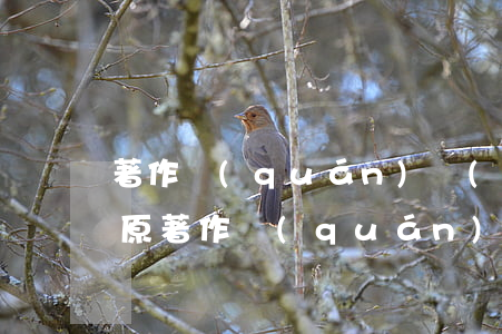 著作權(quán)轉(zhuǎn)讓后原著作權(quán)人還享有什么權(quán)利
