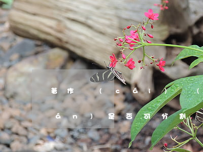 著作財(cái)產(chǎn)權(quán)是否可分割