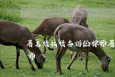 著名债权债务诉讼律师（著名债权债务诉讼律师）