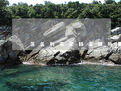著名刑事律師事務所(著名刑事律師事務所)