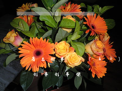 著名刑事辯護(hù)律師事務(wù)所刑事(刑事 律師)