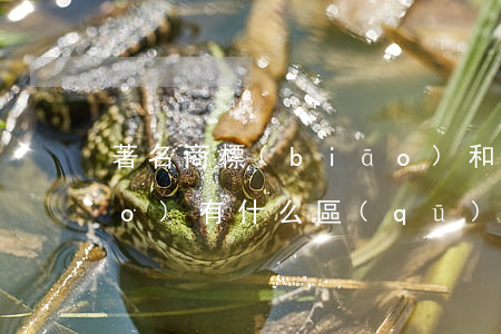 著名商標(biāo)和馳名商標(biāo)有什么區(qū)別