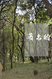 著名的起訴書(法院的起訴書)