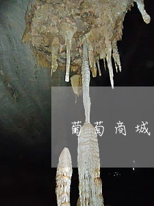 葡萄商城逾期爆通訊錄嗎