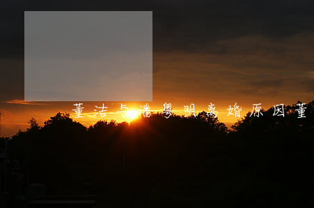 董洁与潘粤明离婚原因(董洁和潘粤明怎么了)