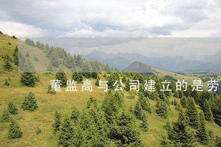 董监高与公司建立的是劳动关系吗？