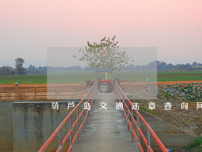 葫芦岛交通违章查询网(葫芦岛市交通局官网)