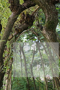 葫蘆島興城最有名律師(葫蘆島律師電話)