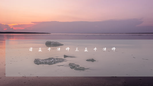 蒋亚平律师(王亚平律师)