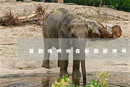蒋敏律师协会(单荣敏律师)