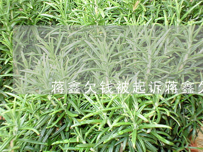 蒋鑫欠钱被起诉 蒋鑫欠钱被起诉