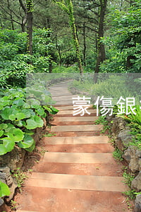 蒙傷銀行信用卡逾期-蒙傷銀行信用卡逾期
