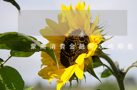 蒙商消費金融可以逾期幾天