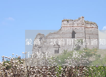 蒙商貸款逾期短信通知是什么樣的-蒙商銀行短信說貸款沒還