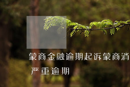 蒙商金融逾期起诉(蒙商消费金融发短信说我严重逾期)