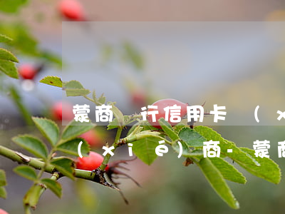 蒙商銀行信用卡協(xié)商還款怎么協(xié)商-蒙商銀行信用卡協(xié)商還款怎么協(xié)商的