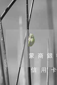 蒙商銀行信用卡官網(wǎng)(蒙商銀行信用卡app下載官網(wǎng))